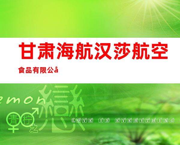 甘肃海航汉莎航空食品有限公司